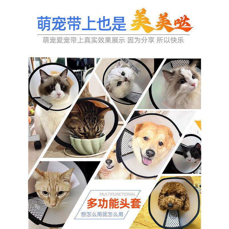 伊丽莎白圈狗狗猫咪项圈脖套防舔防咬圈软伊莉莎白圈宠物头套,淘宝优惠券,粉丝福利购,淘宝优惠卷
