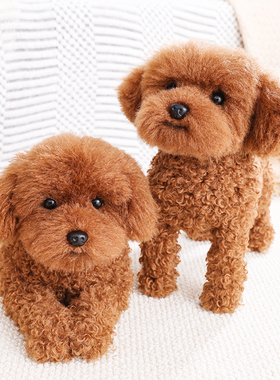 非遗凯特胡赛尼仿真泰迪犬狗狗毛绒公仔玩偶静态摆件拍摄道具模型