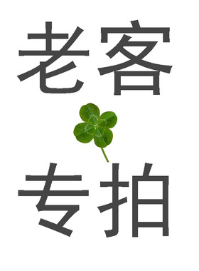 新款韩版钛钢玫瑰金项链