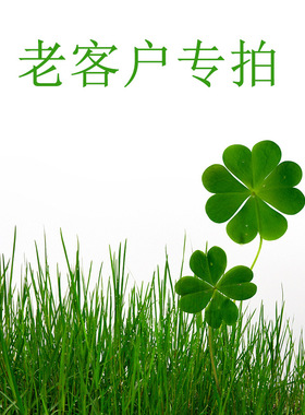 经典款钛钢玫瑰金项链女时尚四叶