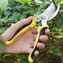 Jardin en acier inoxydable-économiseur darbre fruitier taprunteur taprunteur coupé avec branches grossières coupant jardin dart Outils de fleurs coupées à fleurs ciseaux de branche