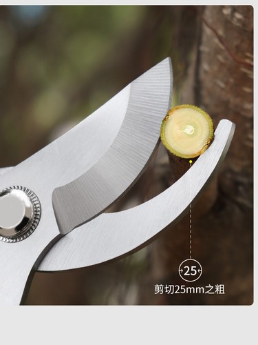 不锈钢果树修枝剪刀树枝剪花卉园林修花剪家用省力粗枝剪花艺剪刀 - 图1