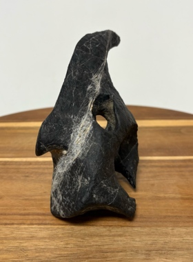 恐龙 天然太湖石象形石摆件 自然站立 原石原底 书桌茶桌办公桌