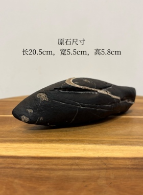 鲨鱼镇纸/ 天然太湖石原石头摆件 象形石 书桌文房用品茶桌办公桌