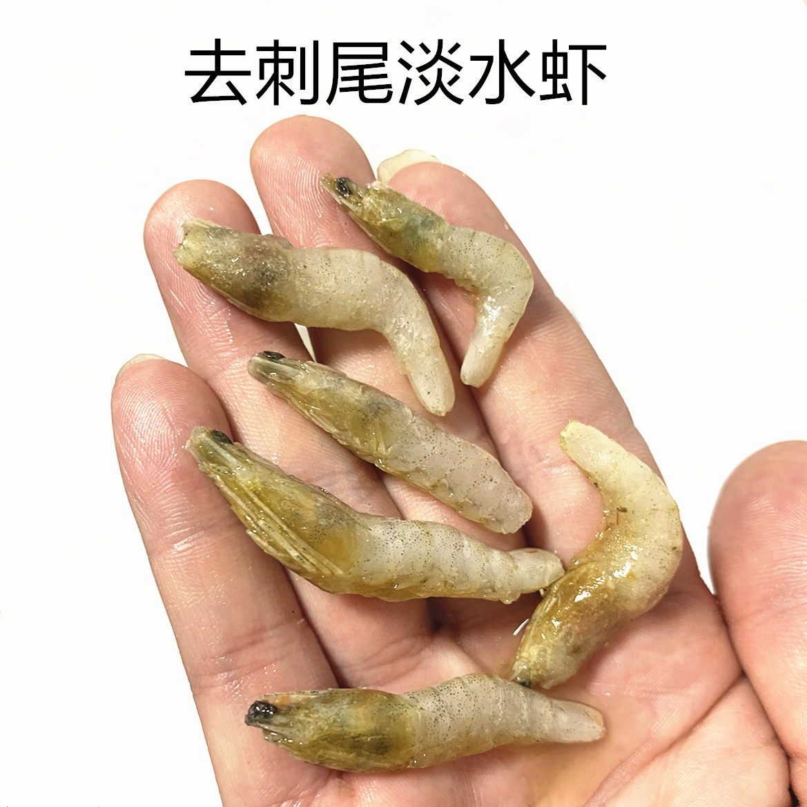 单冻小河虾新鲜冰冻鱼食冻虾沉水型虾仁冷冻泥鳅银龙狗头河豚饲料 - 图1