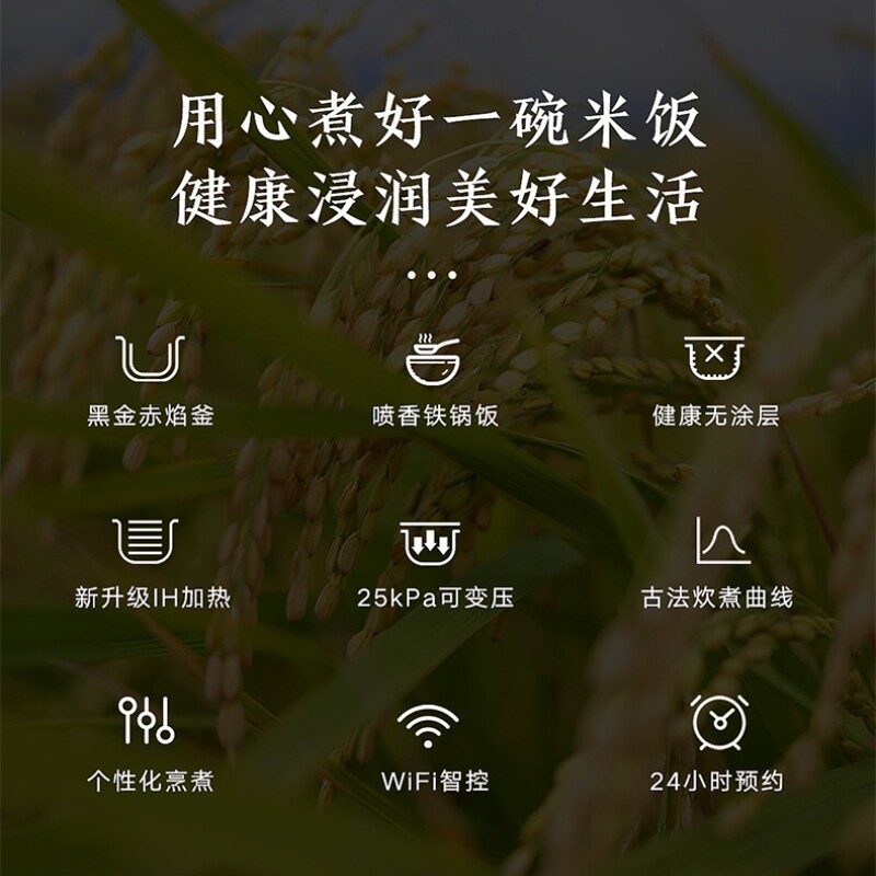 格力大松铸铁无涂层电饭煲IH智能微压4L不沾锅健康锅4015C