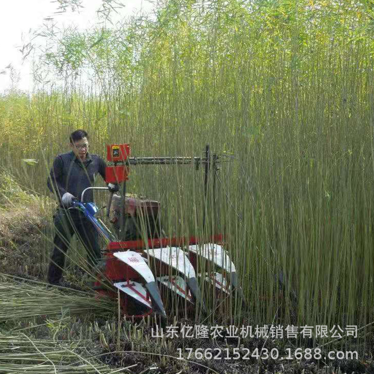 家用芦苇艾草收割农场油菜籽晒机玉米秸秆芝麻割倒机小型割油菜机 - 图2