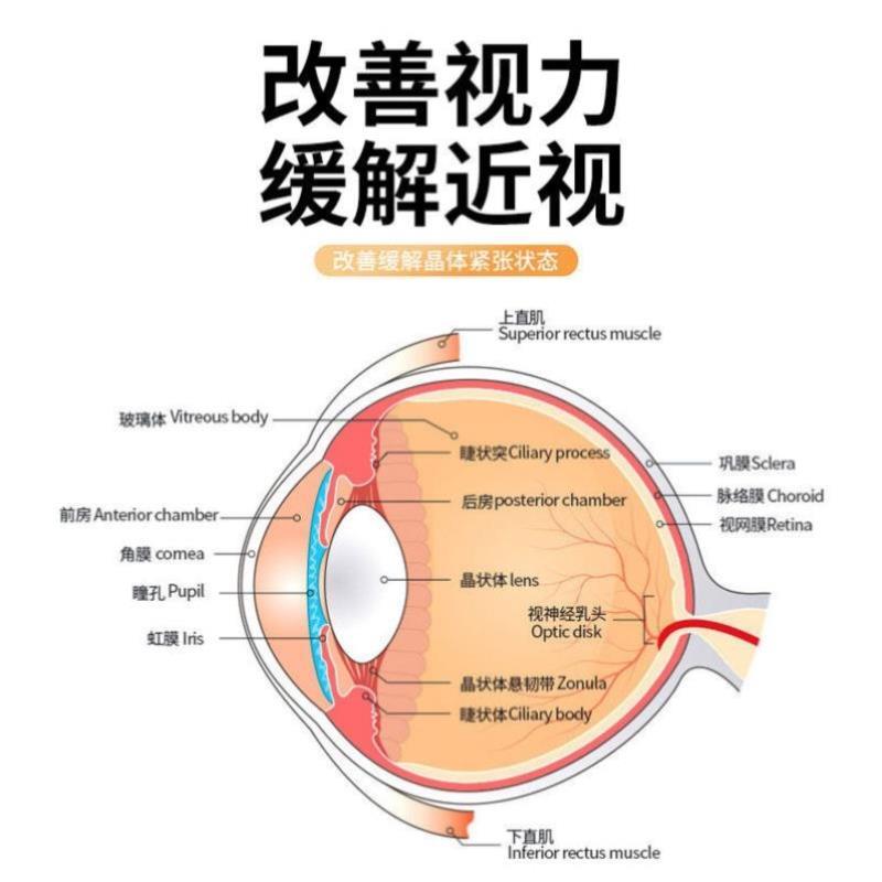 波乒乓球训练器单人打回弹软轴家用儿童防近视力室内自练神器玩[ - 图2