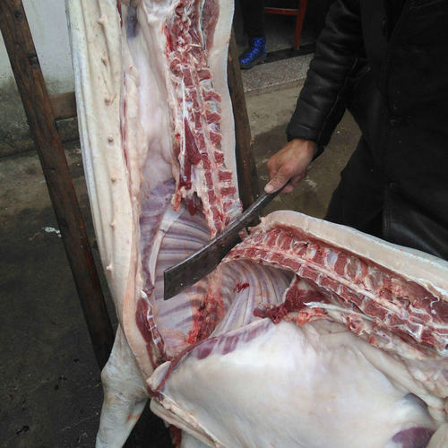 现杀现取新鲜猪胰子 猪胰腺 2件包邮散养黑土猪 猪胰猪横脷猪胰皂 - 图0