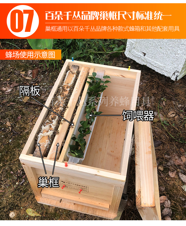 百朵千丛杉木蜜蜂箱全套诱蜂箱标准中蜂箱养蜂用具格子土蜂箱包邮-图0