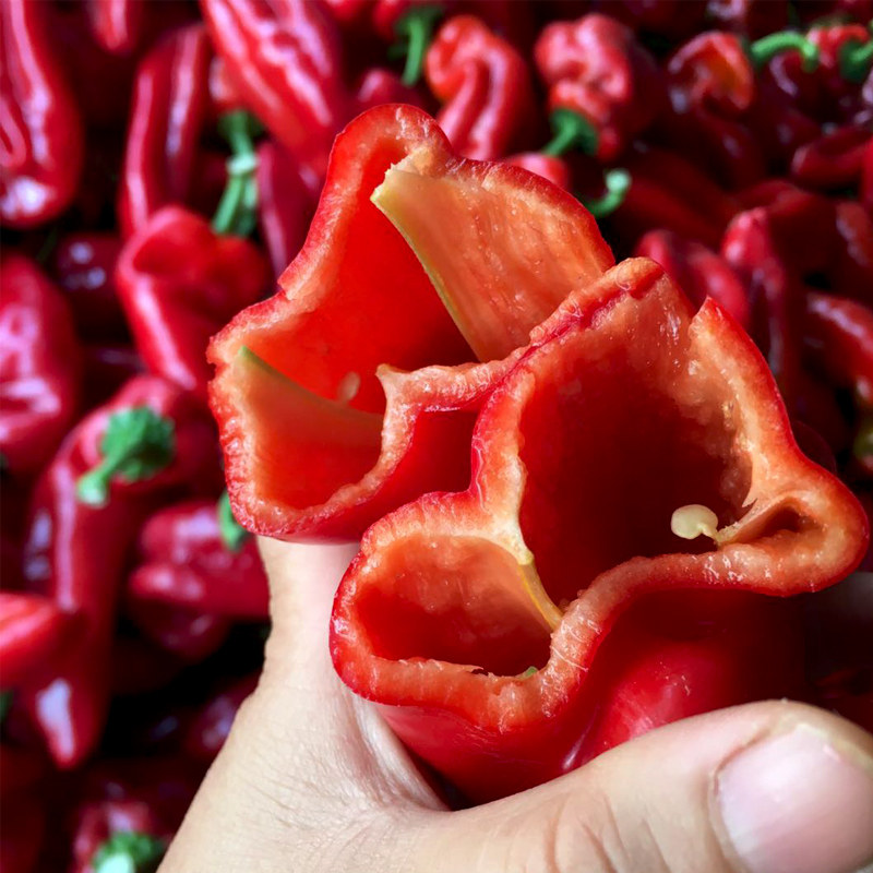 新鲜红辣椒大红辣椒红尖椒农家现摘辣椒鲜红甜椒当季菜包邮菜椒,淘宝优惠券,粉丝福利购,淘宝优惠卷