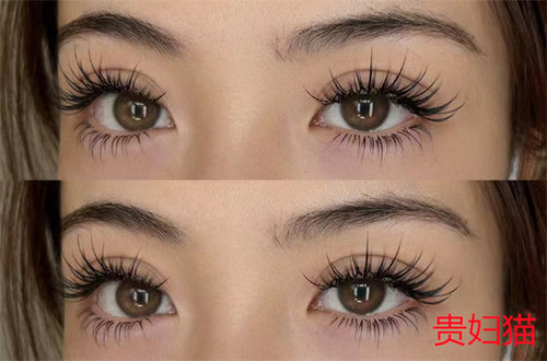 好野啊！贵妇猫nn27泰式纯野妆欧美风泰式假睫毛整条透明梗仙子毛 - 图0