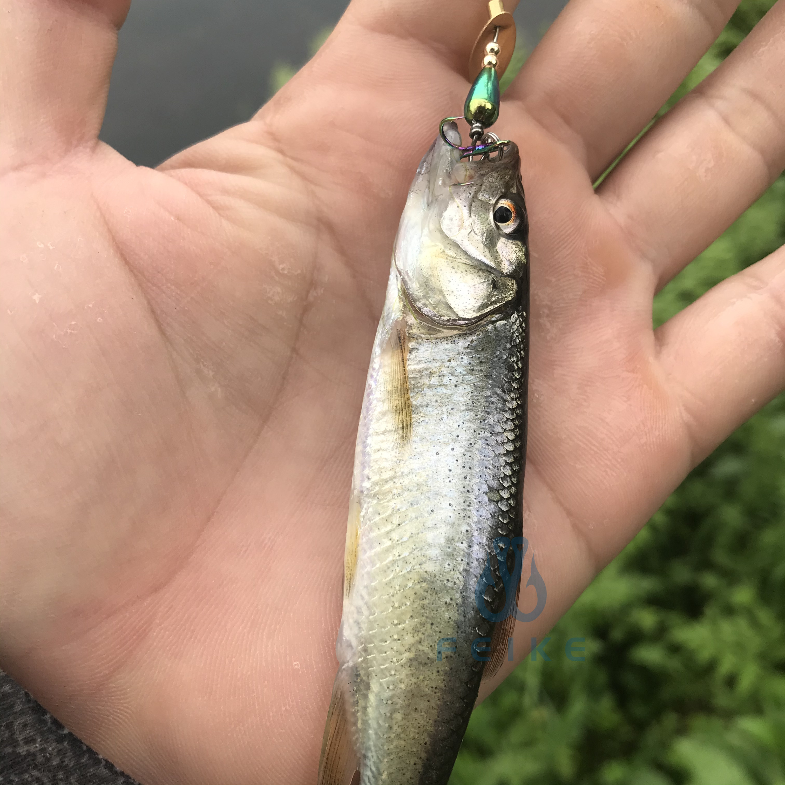 飞旋亮片溪流路亚饵马口假饵白条旋转炫彩单钩三本钩钨钢微物鱼饵-图2