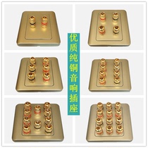 Type 86 gold pure copper sound post 5 1 7 1 full copper horn sound box power amplifier banana head socket panel