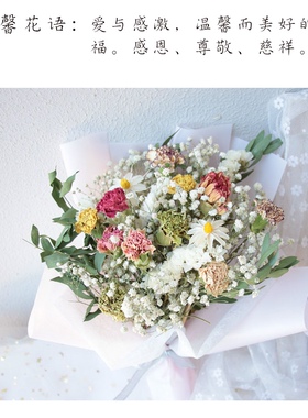 真花满天星干花包装花束礼物袋送母亲妈妈康乃馨风干花向日葵棉花