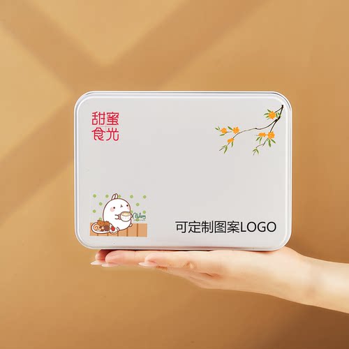 曲奇饼干盒 北欧白色马口铁盒烘焙礼品包装盒长方形收纳生写铁盒 - 图2