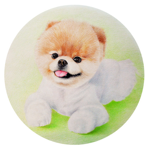 手绘宠物素描彩铅画像定制猫咪狗狗爱犬动物画萌宠画画铅笔鸟乌龟 - 图3