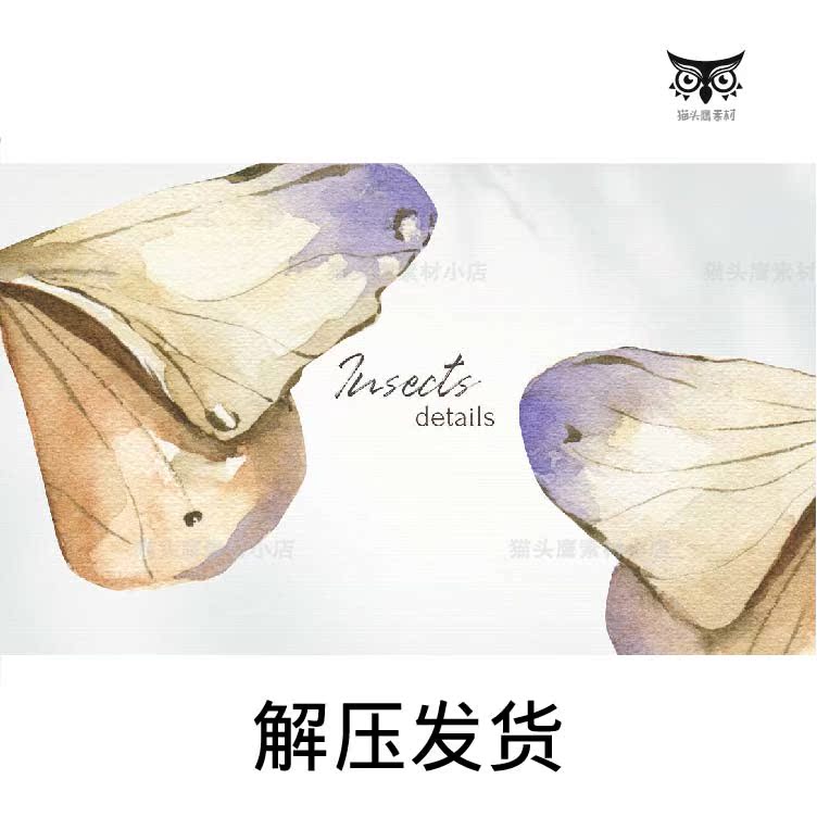 22款手绘水彩昆虫贴画蜻蜓蝴蝶飞蛾插画插图背景图片PNG免抠素材 - 图0