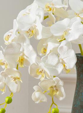 仿真高端插花白色蝴蝶兰装饰婚庆