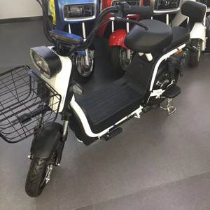 特价新日48V星辰新国标高配载重王超长续航电动车电瓶车双人轻便