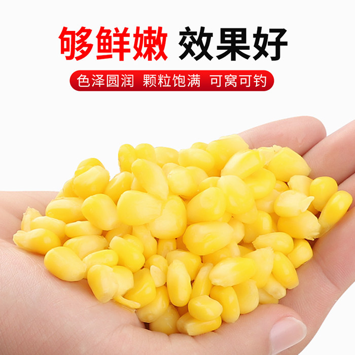 武汉天元邓刚嫩玉米窝料鲜玉米钓饵本味果味翘嘴鳊鱼青鱼草鱼专用,淘宝优惠券,粉丝福利购,淘宝优惠卷