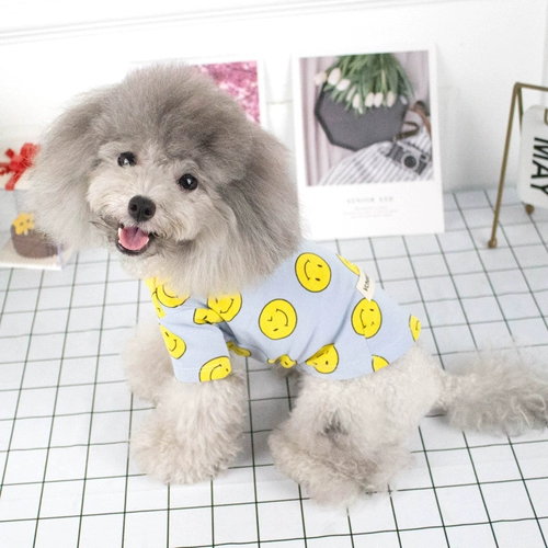 Щенка для щенка кот плюшевая сделка с биргиной чайной чаш