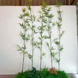 Моделирование бамбука в помещении декоративное ландшафтное разделение бамбукового лесного озеленения