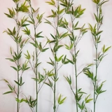 Моделирование бамбука в помещении декоративное ландшафтное разделение бамбукового лесного озеленения