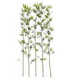 Моделирование бамбука в помещении декоративное ландшафтное разделение бамбукового лесного озеленения