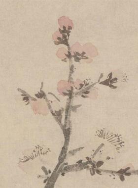 品1:1明 t沈周杏花图花卉仿古字画装饰画装高清微喷复制临摹范本