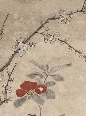 清原大明代K朱竺梅茶山雀图国画花鸟画梅花山茶花微喷字画装饰画