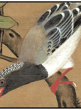 品 明 吕纪 桂菊山禽图 50X90厘米艺术微喷国画仿Y古装饰画字画