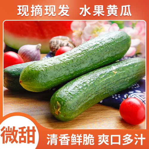 人唯贵新鲜蔬菜小黄瓜可生吃水果黄瓜500g脆嫩小青瓜川渝五件包邮 - 图1