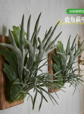 仿真鹿角蕨墙面造景植物装饰酒店