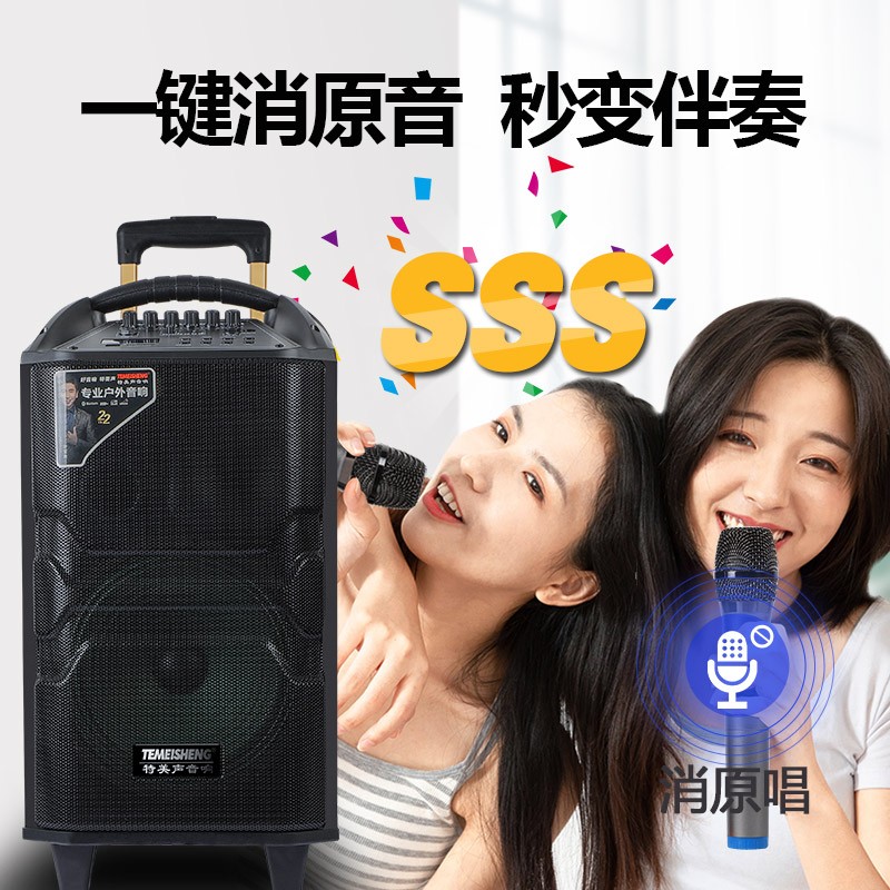 特美声QX12-29户外音响移动广场舞拉杆带无线话蓝牙跳大音量音箱 - 图3