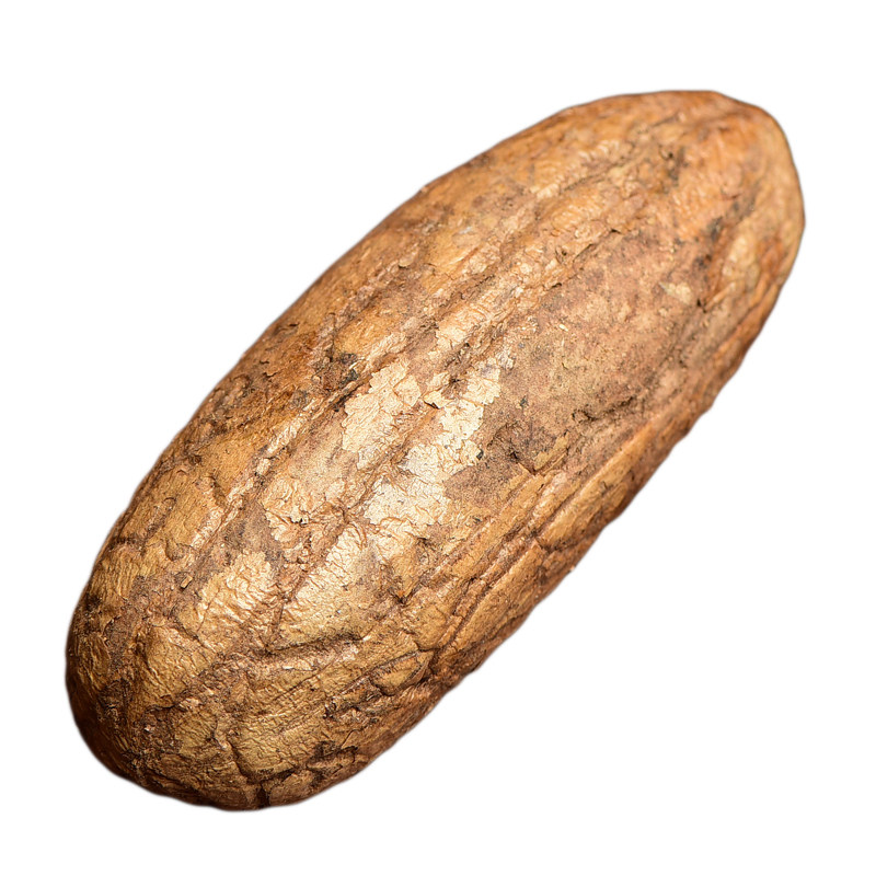 精品千眼菩提子原籽原料果 大果绿果红果按斤文玩手把件老料胖果,淘宝优惠券,粉丝福利购,淘宝优惠卷