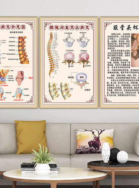 肩周炎海报颈椎病腰椎病脊柱挂画