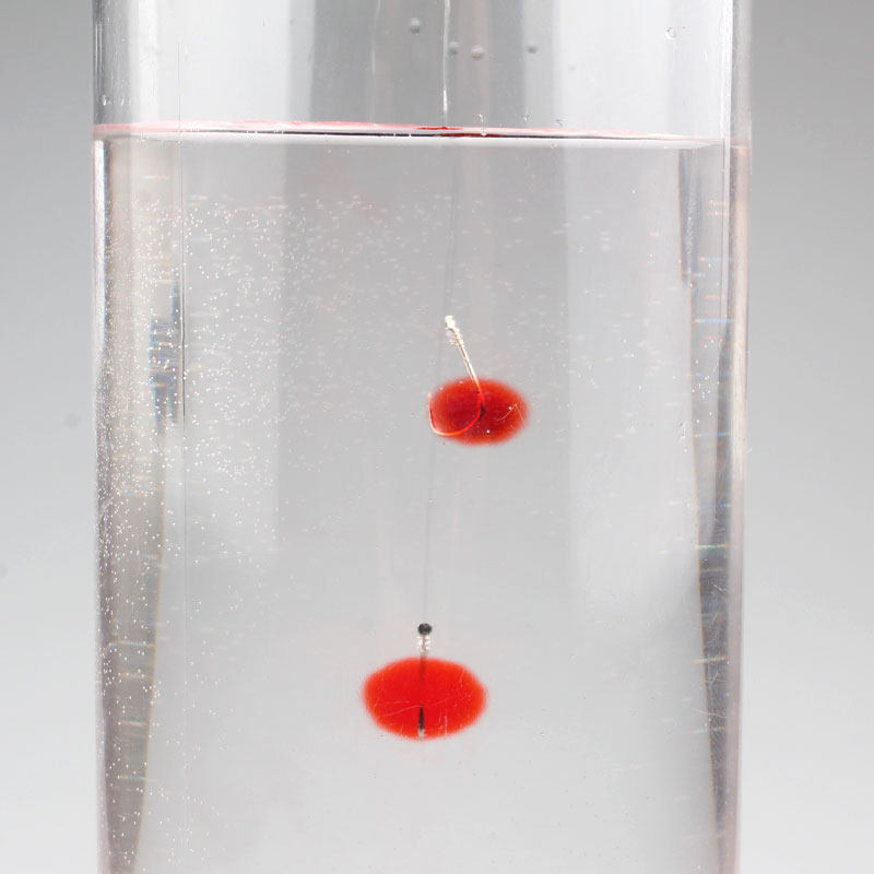 【瑞美人糗鱼逗豆】轻猾口鲫鱼鲤鱼鱼饵 爆连珠黑坑糗鱼果冻饵,淘宝优惠券,粉丝福利购,淘宝优惠卷