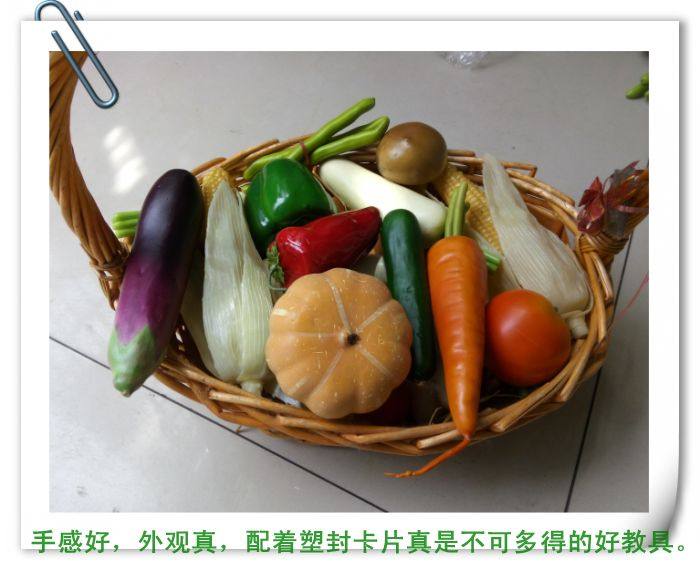 自闭症儿童仿真水果蔬菜与卡片实物配对早教思维语言康复训练教具 - 图0