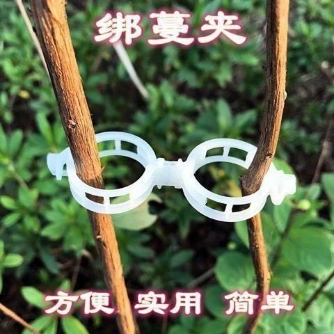 黄瓜西红柿豆角爬藤枝条固定器绿植蔬菜捆绑扎带藤蔓专用园林工具 - 图3