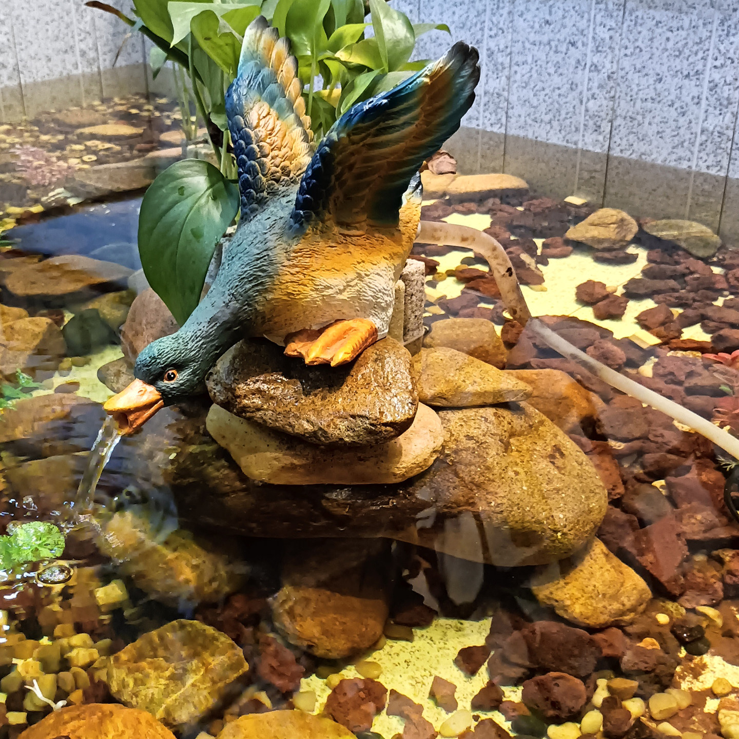 生态缸古法养鱼循环水出水口过滤水循环增氧流水摆件流水鱼流水鸭,淘宝优惠券,粉丝福利购,淘宝优惠卷