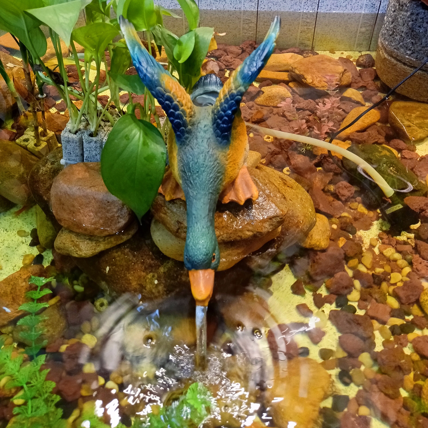 生态缸古法养鱼循环水出水口过滤水循环增氧流水摆件流水鱼流水鸭,淘宝优惠券,粉丝福利购,淘宝优惠卷