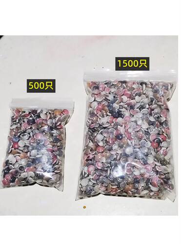 1500只天然小海螺 蜗牛贝壳彩虹螺手工diy材料海洋漂流瓶滴胶鱼缸 - 图2