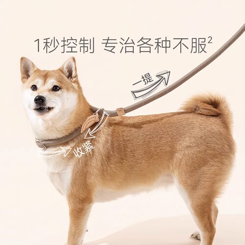 狗狗绳子防爆冲P链遛狗牵引绳防挣脱狗链子中大型犬防爆冲拴狗绳 - 图3