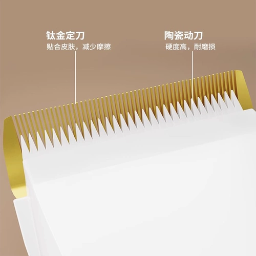 Бритье собаки, питометра