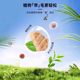 Hairball buster cat detoxifying cream and cat grass tablets