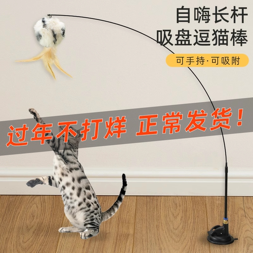 猫玩具自嗨解闷神器猫咪懒人自动逗猫棒羽毛吸盘带铃铛耐咬幼猫