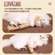 Bite-resistant wood polygonum molar stick self-excites and relieves boredom cat toy