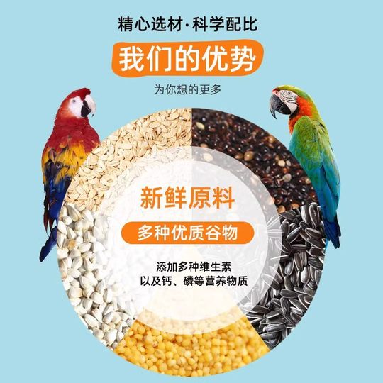 Fresh and plump! New mixed nutritional food for parrots in shell