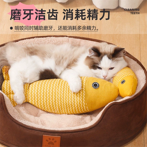 Все кошачьи монетные игрушки, котенок рыбного котенка, самодиспаж